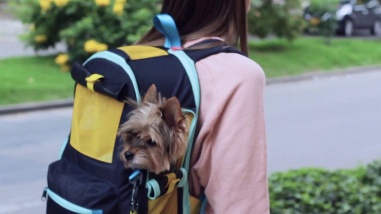 Maleta para Mascotas 3 en 1 by MELLOW & KUPA - Productos Mellow