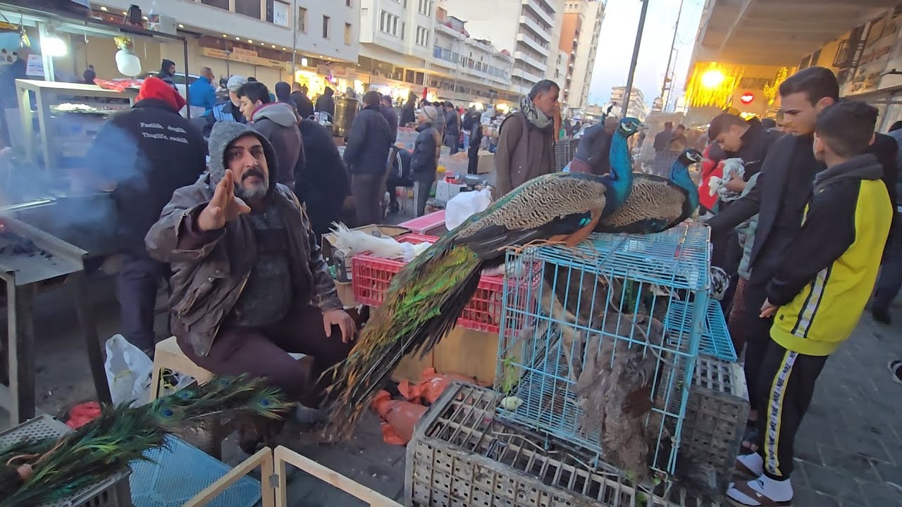 سوق الغزل يوم الجمعة انواع الحيوانات والطيور مع الاسعار 19 ديسمبر 2025