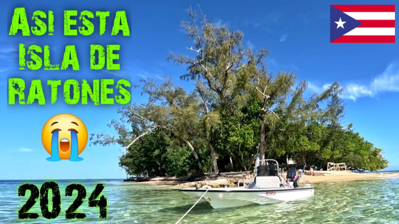ISLA de RATONES - ABANDONADA - Cabo Rojo 2024 - #puertorico #pescando