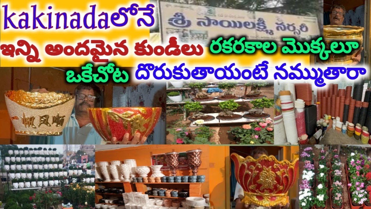 Nursery visit#kakinada/అందమైనకుండీలు,రకరకాలమొక్కలూఒకేచోటదొరికితే