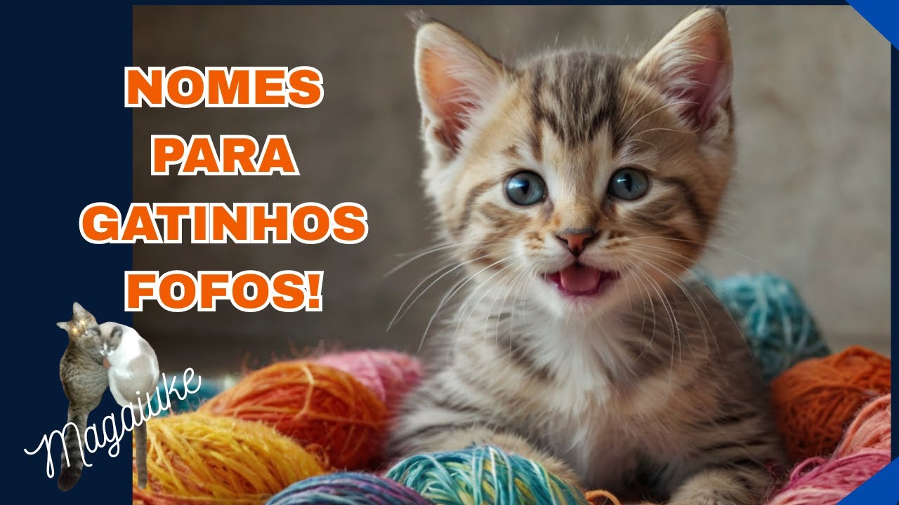 30 NOMES PARA GATINHOS MACHOS FOFOS!