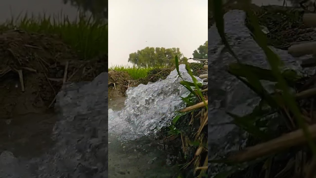 #Masalastories##viral#mini#nature#masalastories