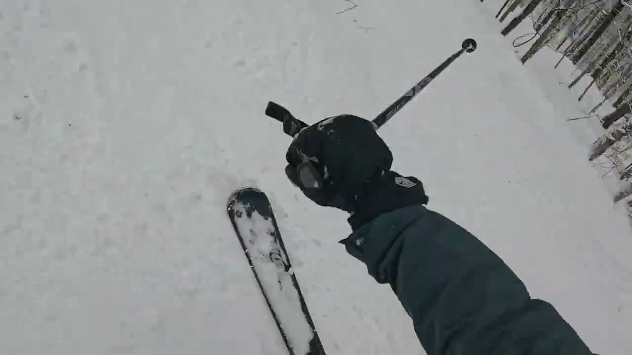 Ski Bowl Glades (Expert) - Gore Mountain NY