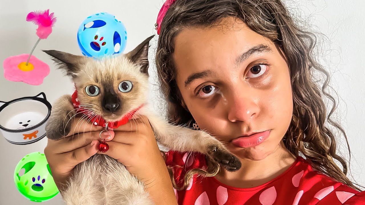 Sarah encontra um gatinho abandonado e ajuda os animais | child gets a kitten