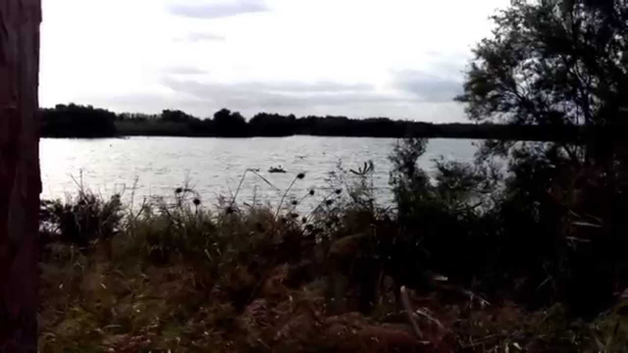 Laguna del Gobierno // 4 de noviembre de 2013
