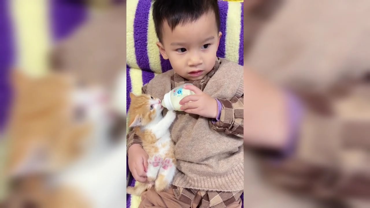 Cute and Funny Pet Videos for Your Mental Health Part 2