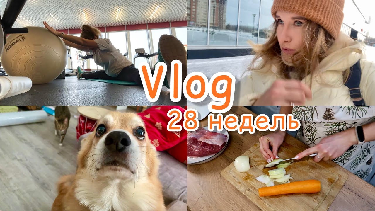 Пойду ли сдавать на права? моя тренировка 🧘🏽‍♀️Сэдди вновь виноват 😁бефстроганов 🥩VLOG