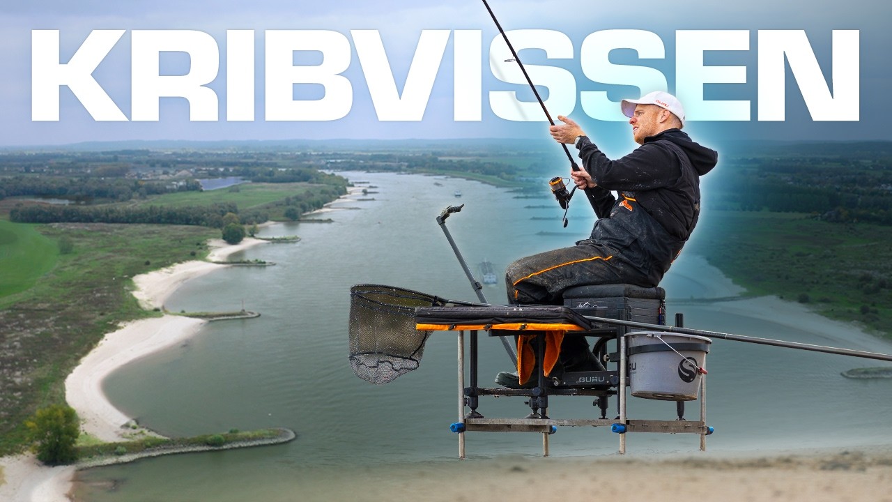 Op deze Stek vang je Altijd op de Rivier! Feeder vissen tussen de Kribben.