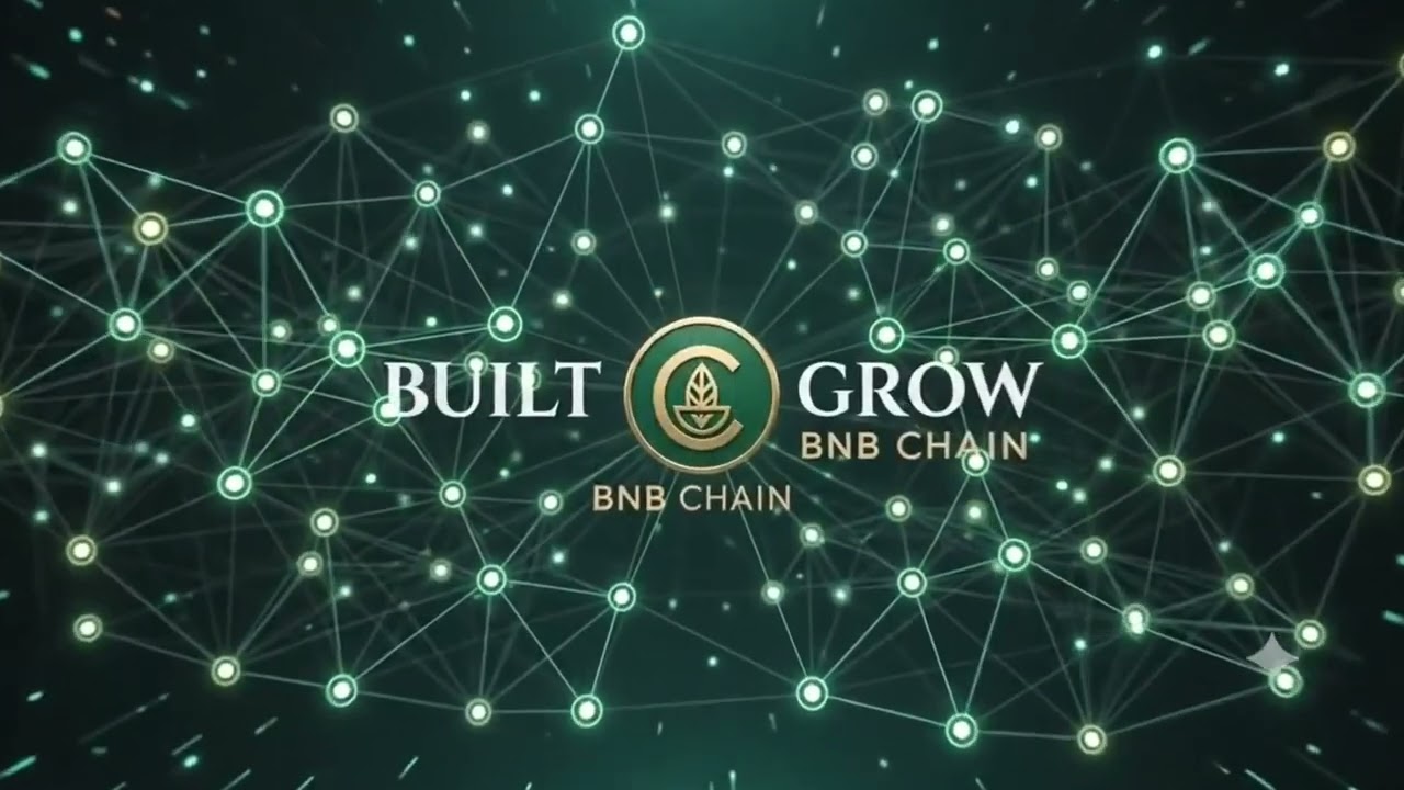Catalina Token Presale 🚀 | New BNB Chain Token on PinkSale