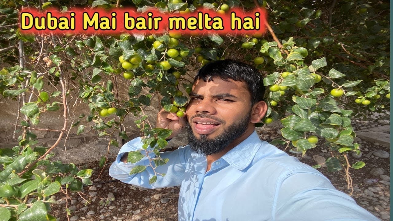 दुबई मैं वि बैर मेलता है #dubailife 