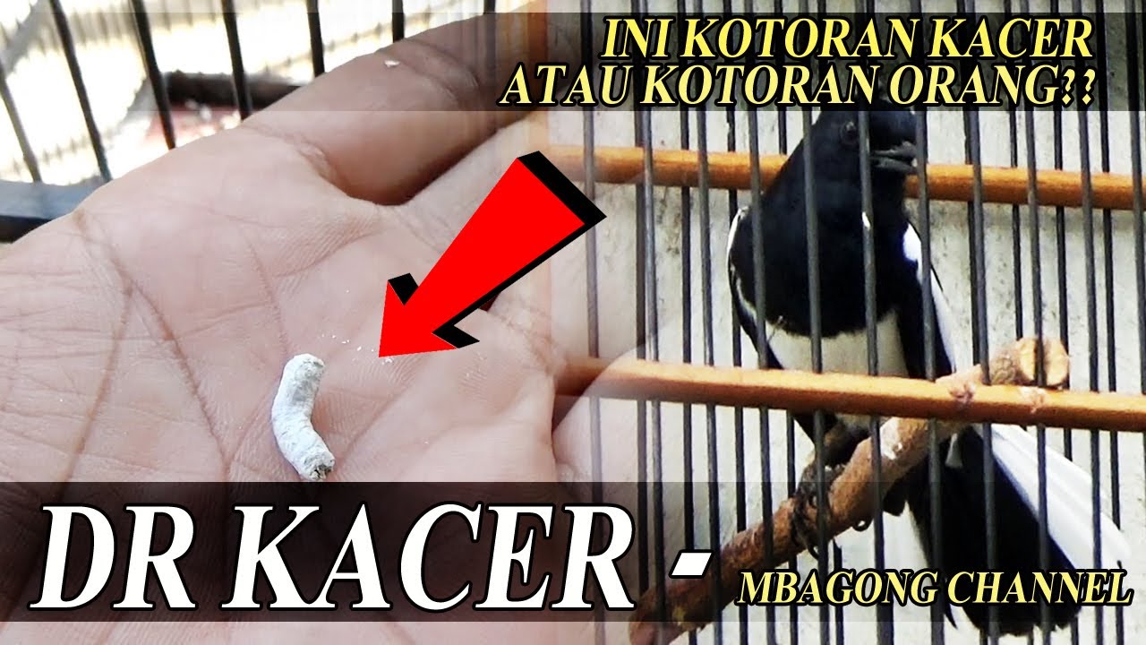 BERBAGI ILMU TIDAK AKAN MEMBUAT SAYA MISKIN - DR KACER | MBAGONG CHANNEL
