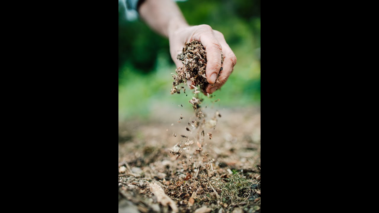 How to make organic wood chip mulch at home