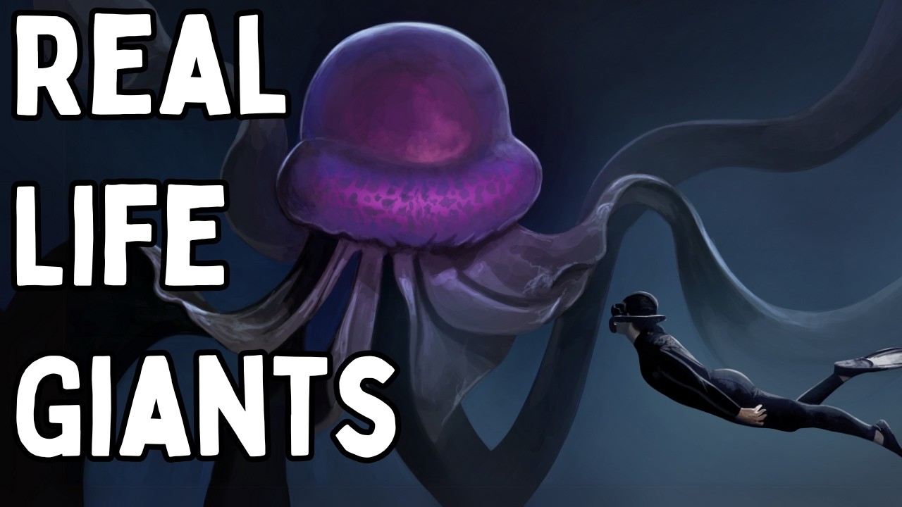 The Giants Found In The Deepest Parts Of Our Oceans
