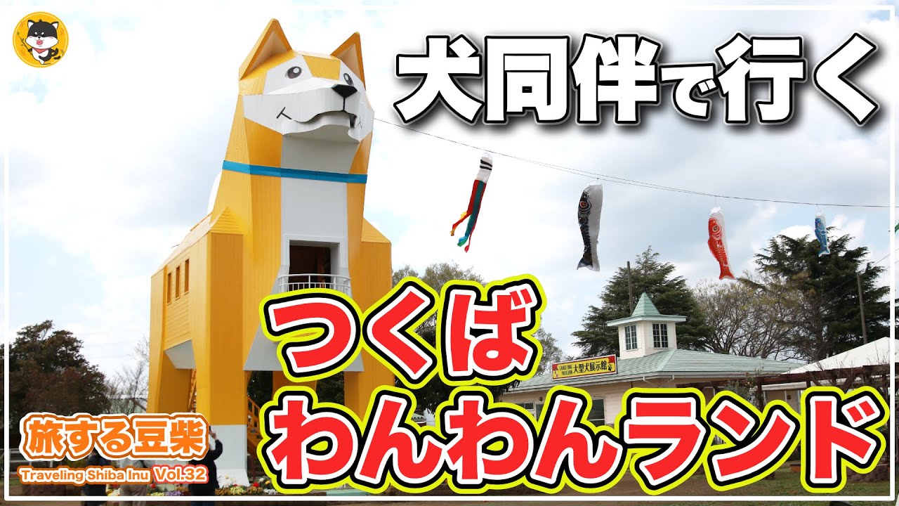 【犬とお出かけ・日帰り旅行】小柄な柴犬と「つくばわんわんランド」に行ってみた結果※旅する豆柴in茨城
