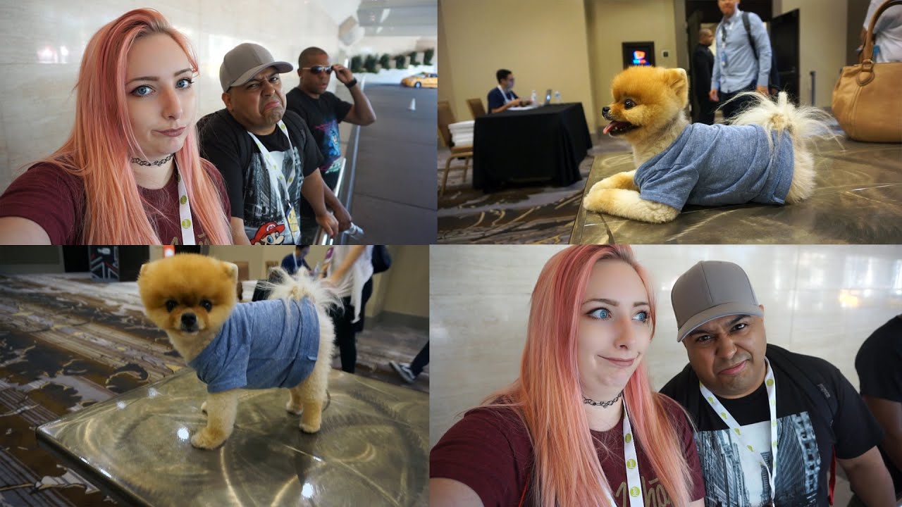 Hanging with Dashie & A Cute Dog! | Vidcon Day 1