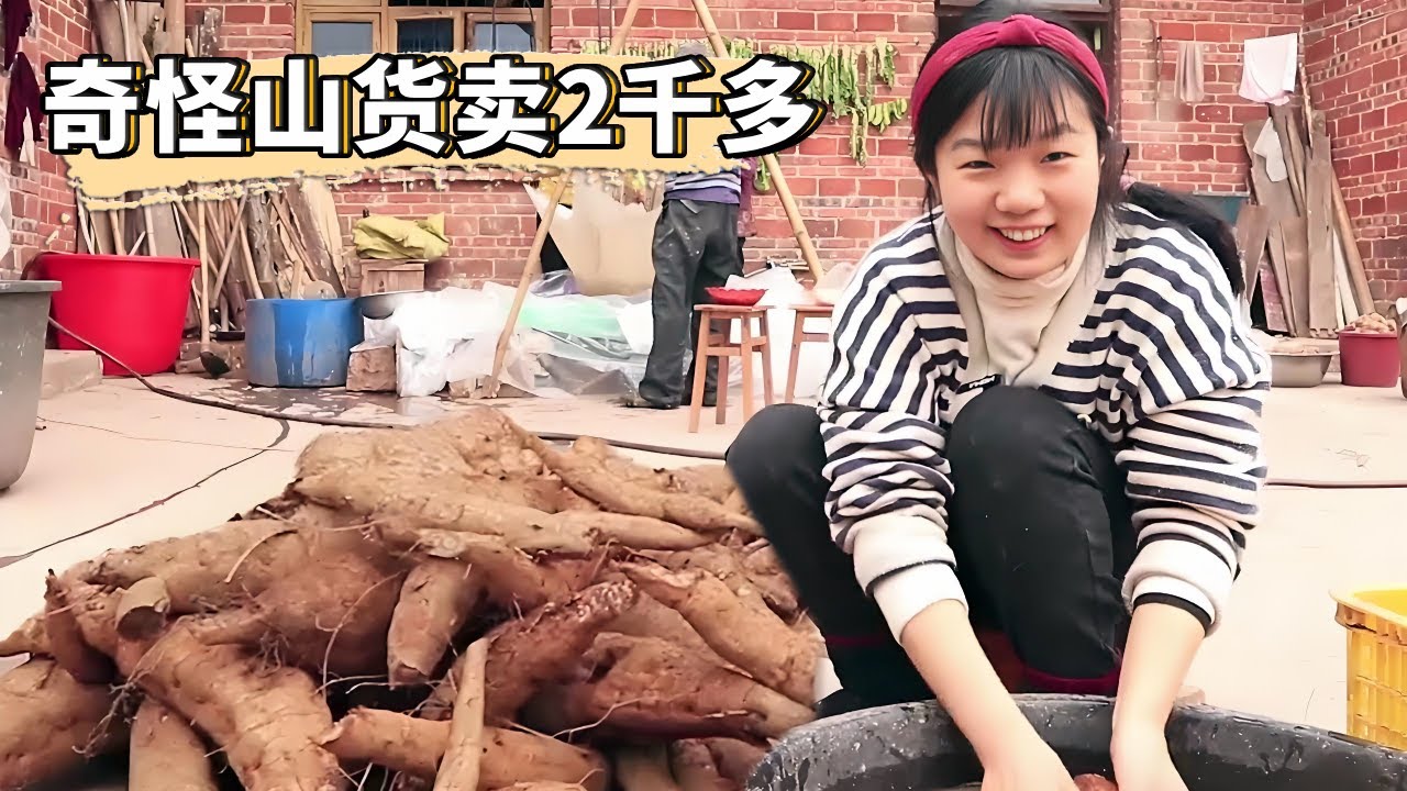 農村女孩帶著奇形怪狀的山貨進城賣！能猜對它是什麼就打折賣，3小時全部賣完賺了2千多！ 【燕麥行遊】#Farm #tour