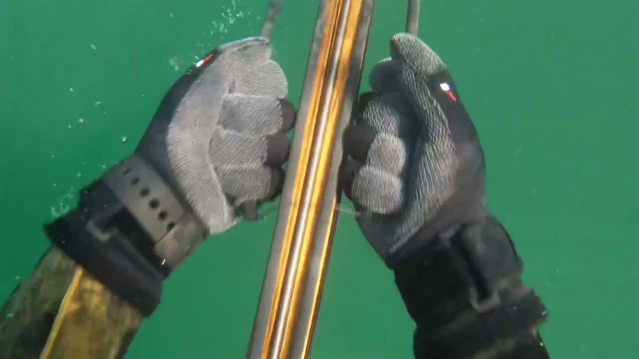 Spearfishing CT + RI 2022