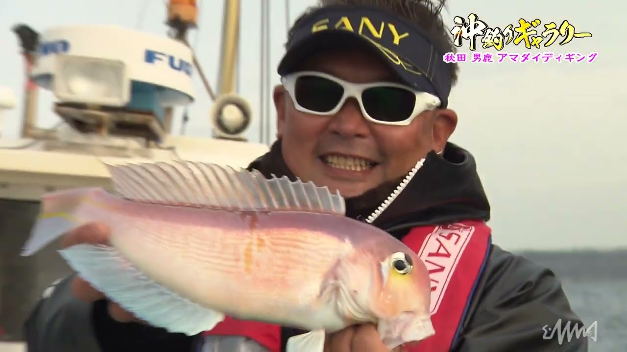 【アマダイ釣り】ディギングで大型連発！秋田男鹿のアマダイ！~沖釣りギャラリー~　#アマダイ  #甘鯛 #船釣り