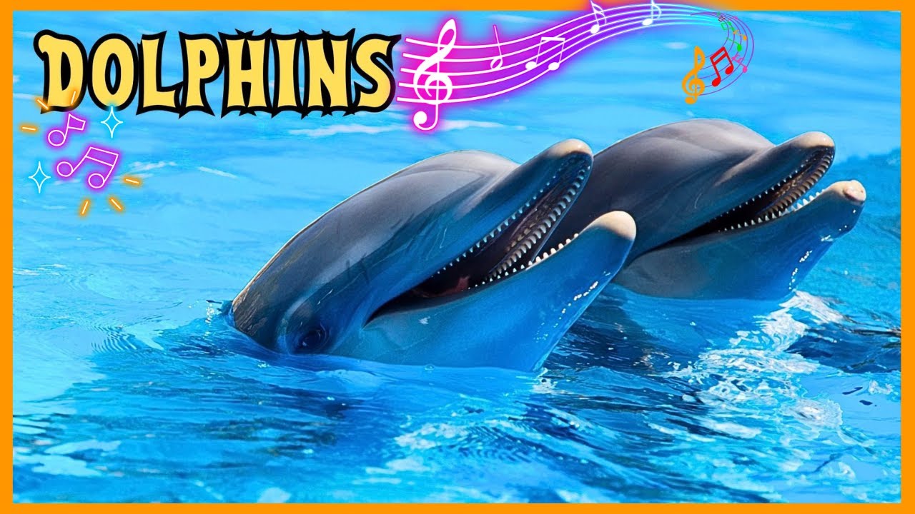 Песенка про дельфинов (умных и дружелюбных) для детей #aisongs #toddlers #kindergarten #education...
