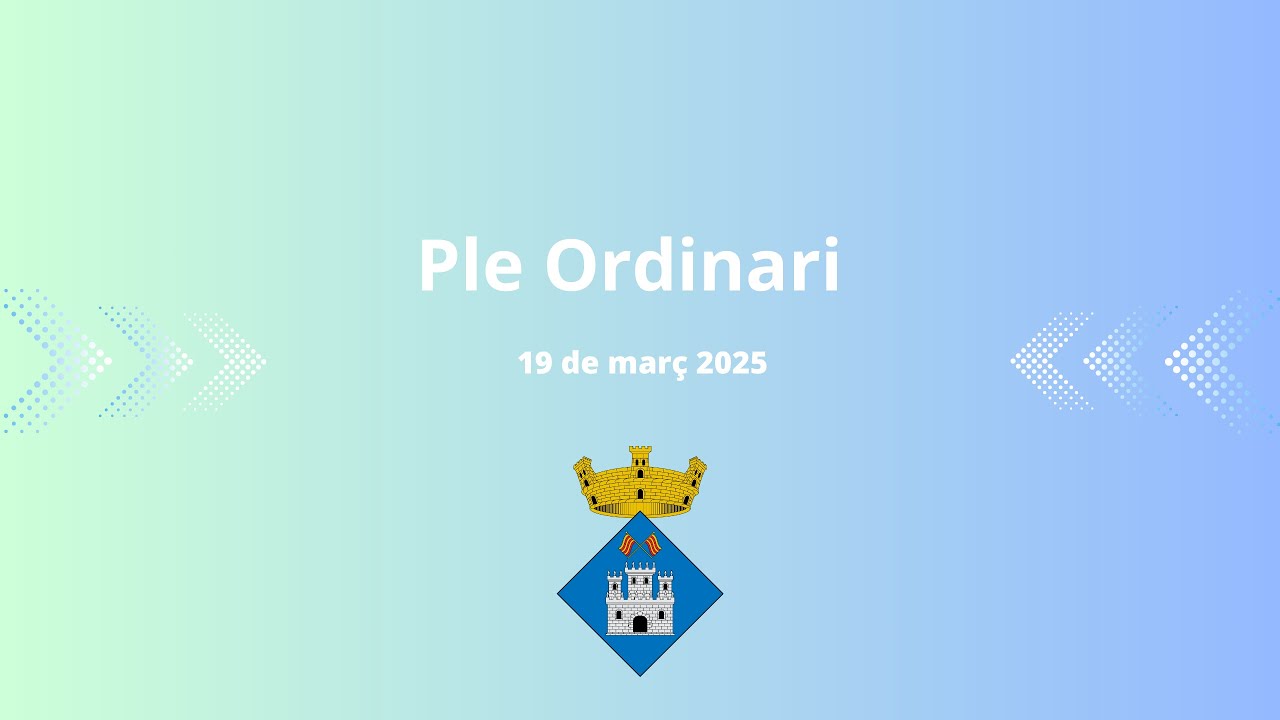Ple Ordinari, 19 de març 2025