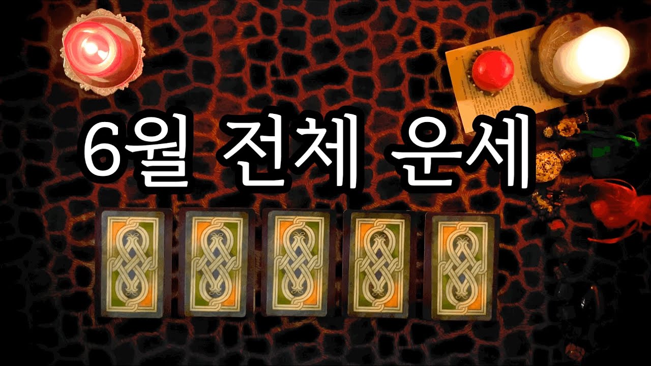 [타로카드] 6월 전체 운세