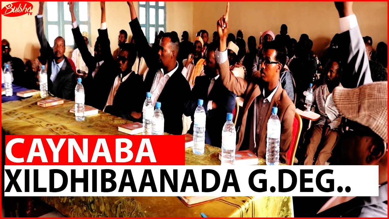 Maayirka Cusub Ee Caynaba Xisbigeebuu Ka Soo Baxay?