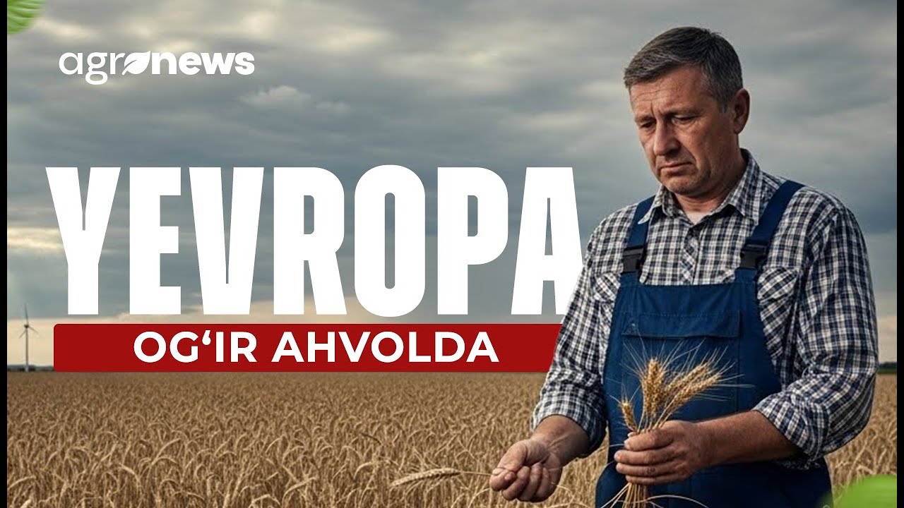 KO‘P KITOB O‘QIGAN XODIMLARGA ENDI PUL BERILADIMI?