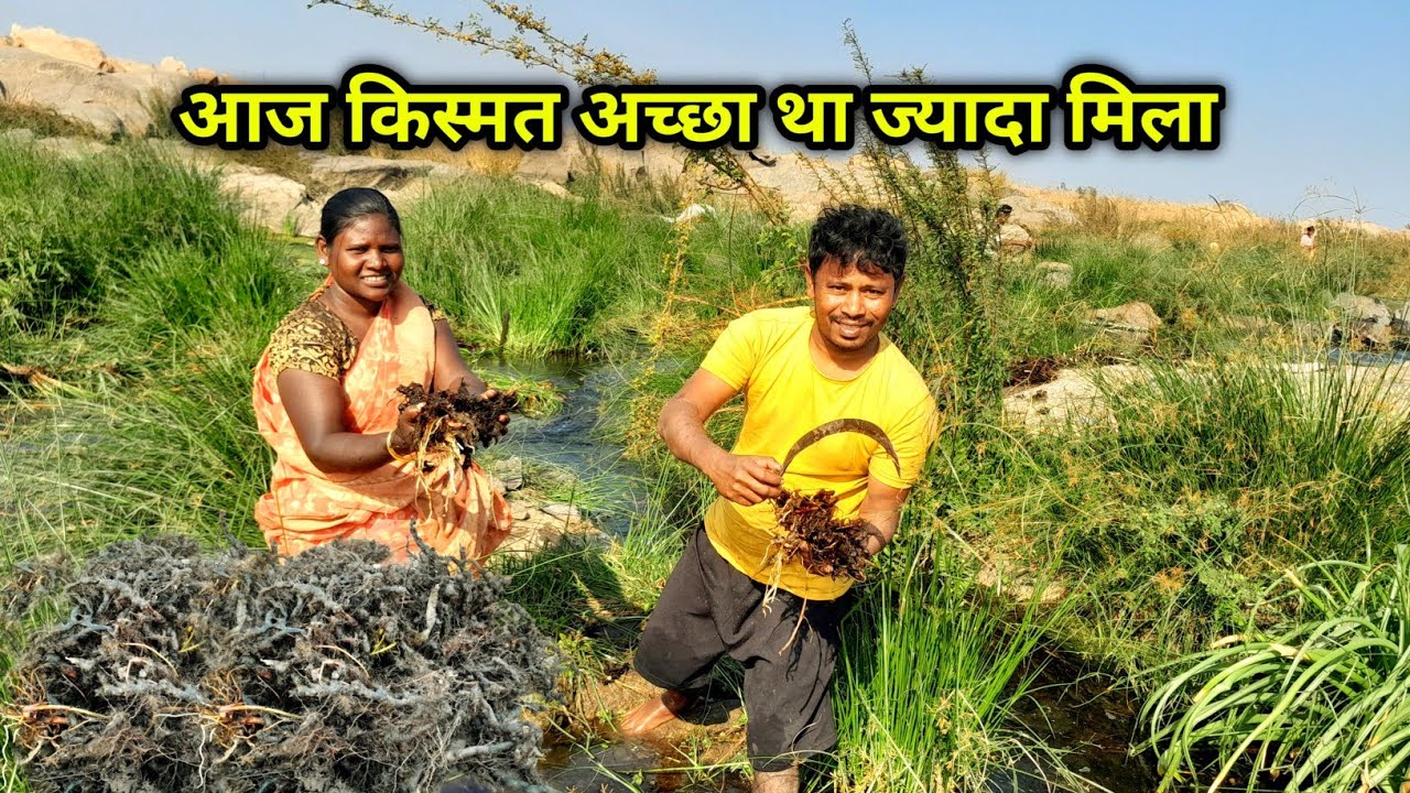 आज किस्मत अच्छा था ज्यादा मिला