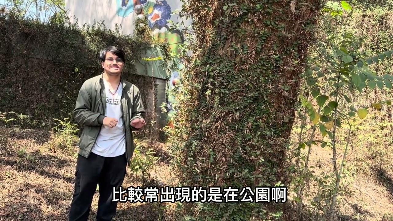 玉山學-介紹植物（作業）