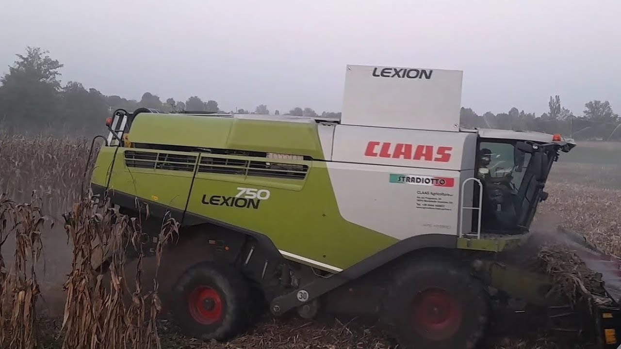 Trebbiatura 🌽 🌽  2023/Class Lexion 750/F.lli. Stradiotto.