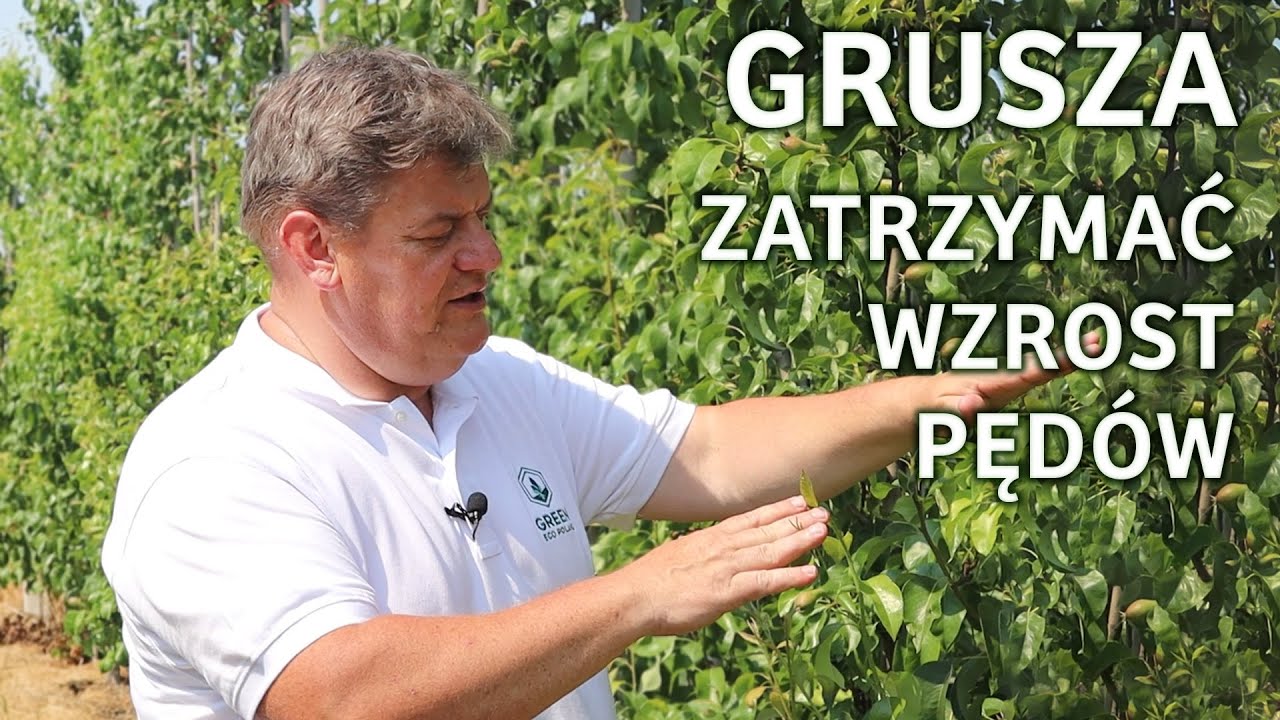 Jak skutecznie zatrzymać wzrost pędów