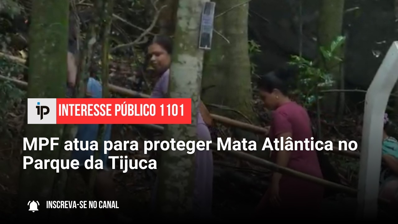 MPF atua para proteger Mata Atlântica no Parque da Tijuca - IP 1101