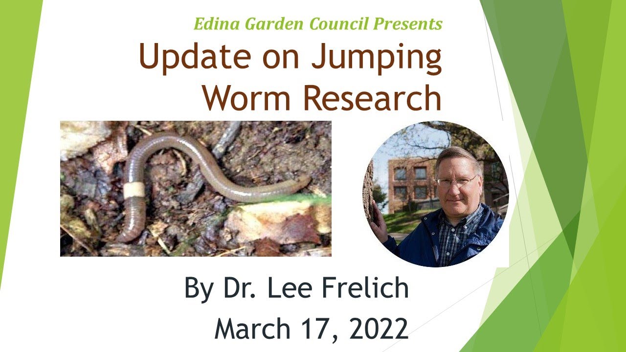 Jumping Worm Research Update by Dr Lee Frelich