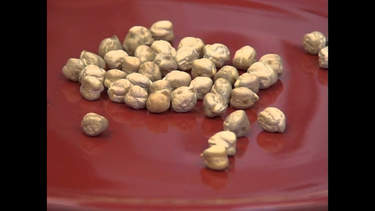 Small Grains & Bean Adapters