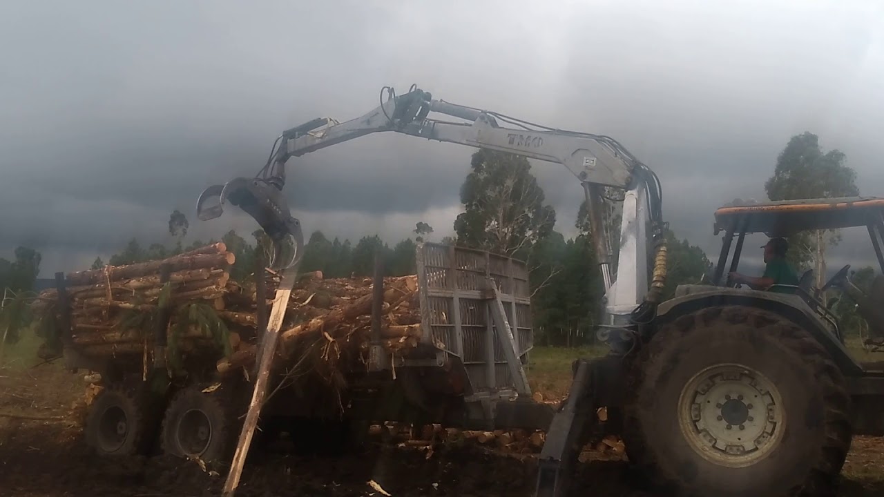 Grua florestal pasqualotto e pepes TMO 7,60