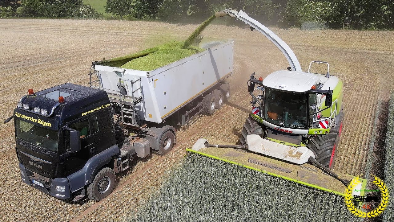 GPS Häckseln auf Rügen 2020 / Agrarservice Rügen / Fendt 1050, 1046 / MAN Agrotruck / Jaguar 960