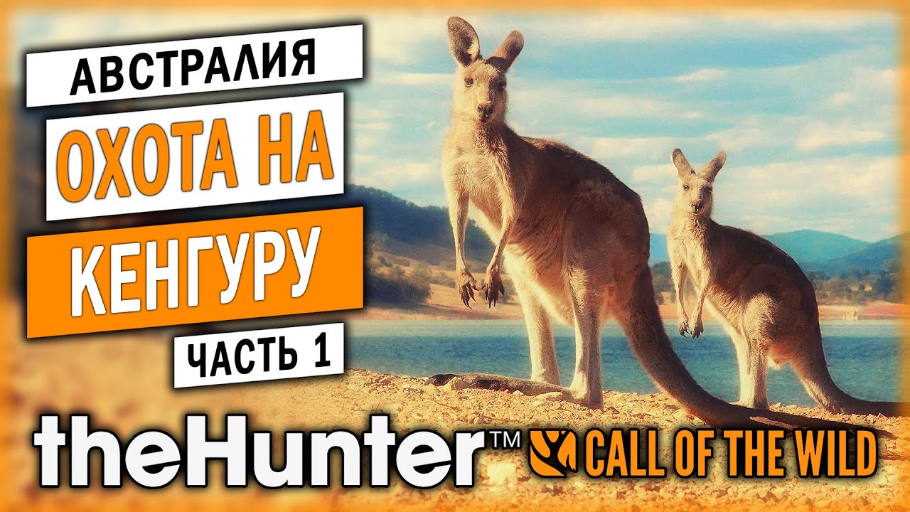 НОВЫЙ ЗАКАЗНИК С КЕНГУРУ В АВСТРАЛИИ! | Emerald Coast | theHunter Call of the Wild 🐊 | Часть #1