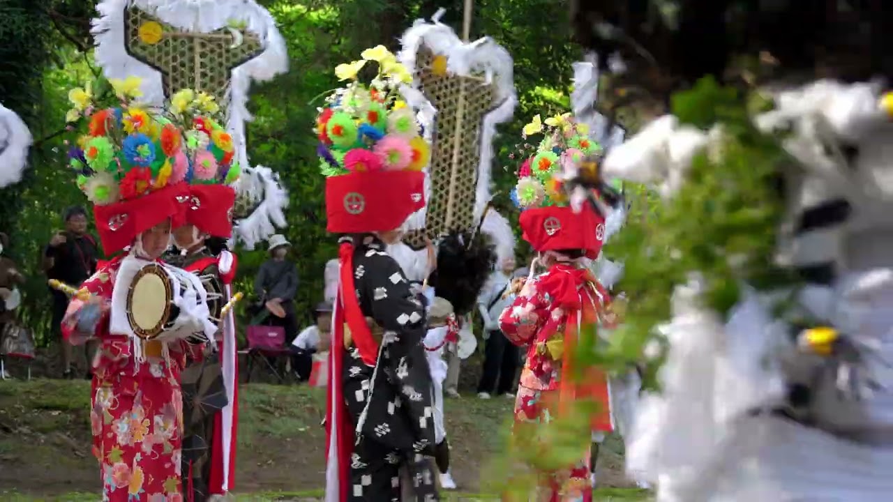 「伊作太鼓踊」short video