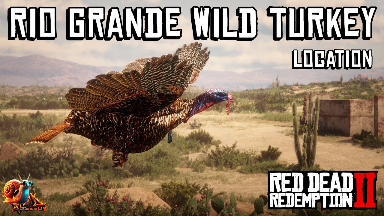 Rio Grande Wild Turkey Location - Red Dead Redemption 2