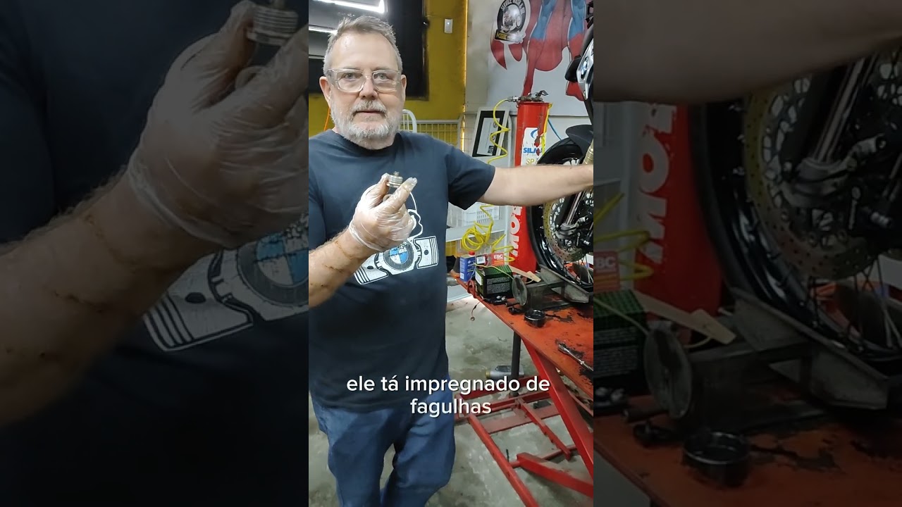 Diferen&ccedil;a de &Oacute;leo Comum e &Oacute;leo Premium