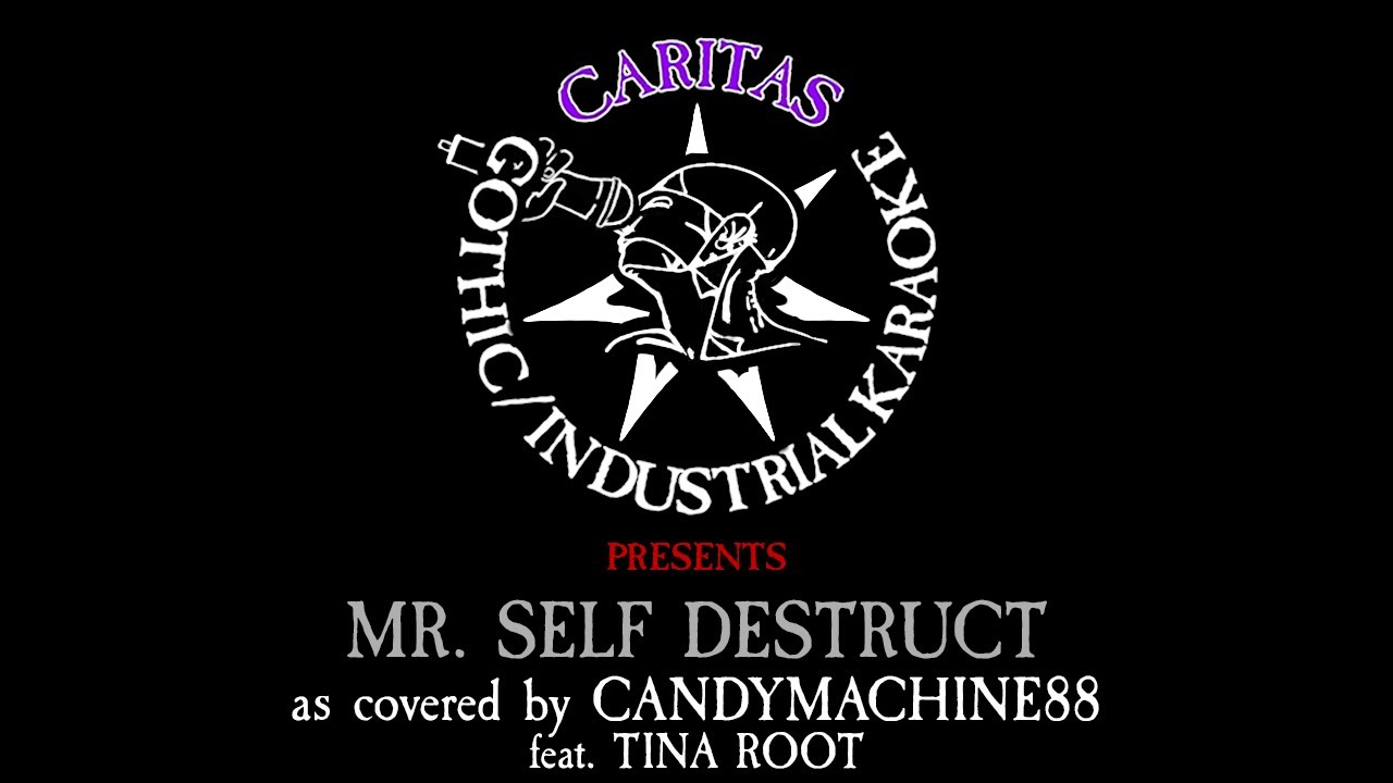 Candymachine88 - Mr  Self Destruct - Karaoke Instrumental w. Lyrics - Caritas Industrial Karaoke