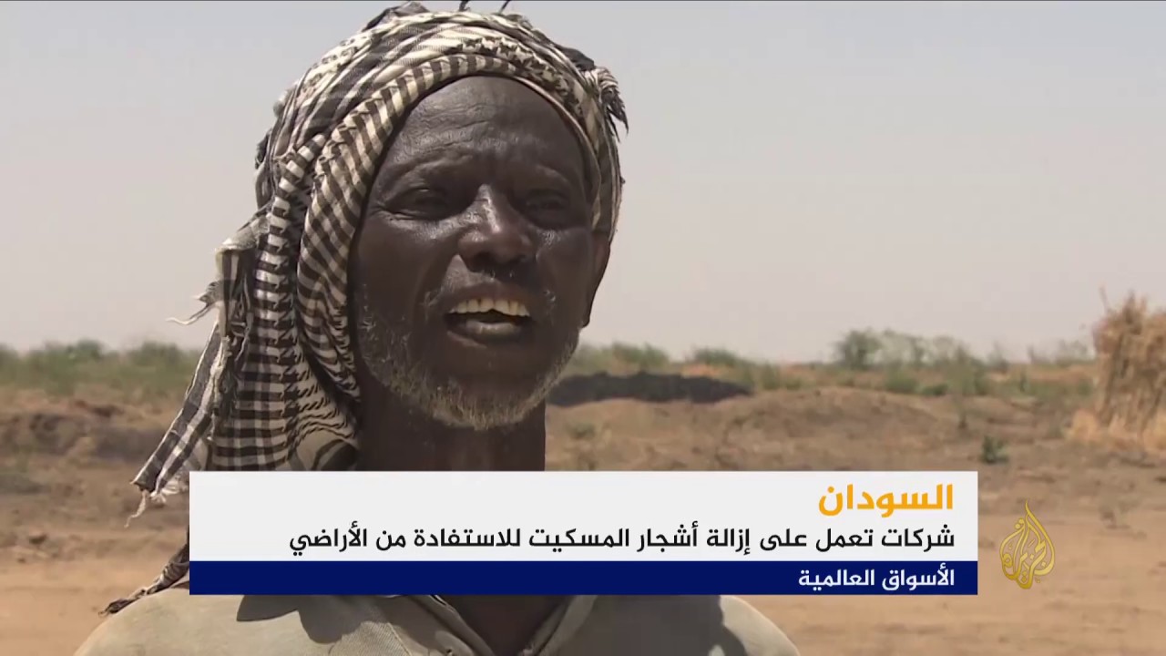 إزالة أشجار المسكيت شرقي السودان