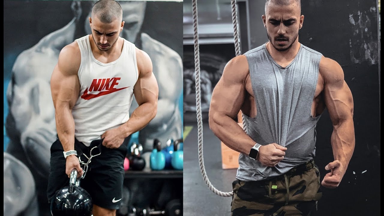 O TREINO HÍBRIDO INSANO DE DEJAN STIPKE (CALISTENIA + MUSCULAÇÃO)