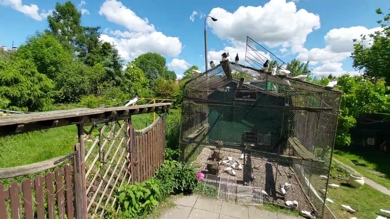 Malutki rozruch 🌞😉👍