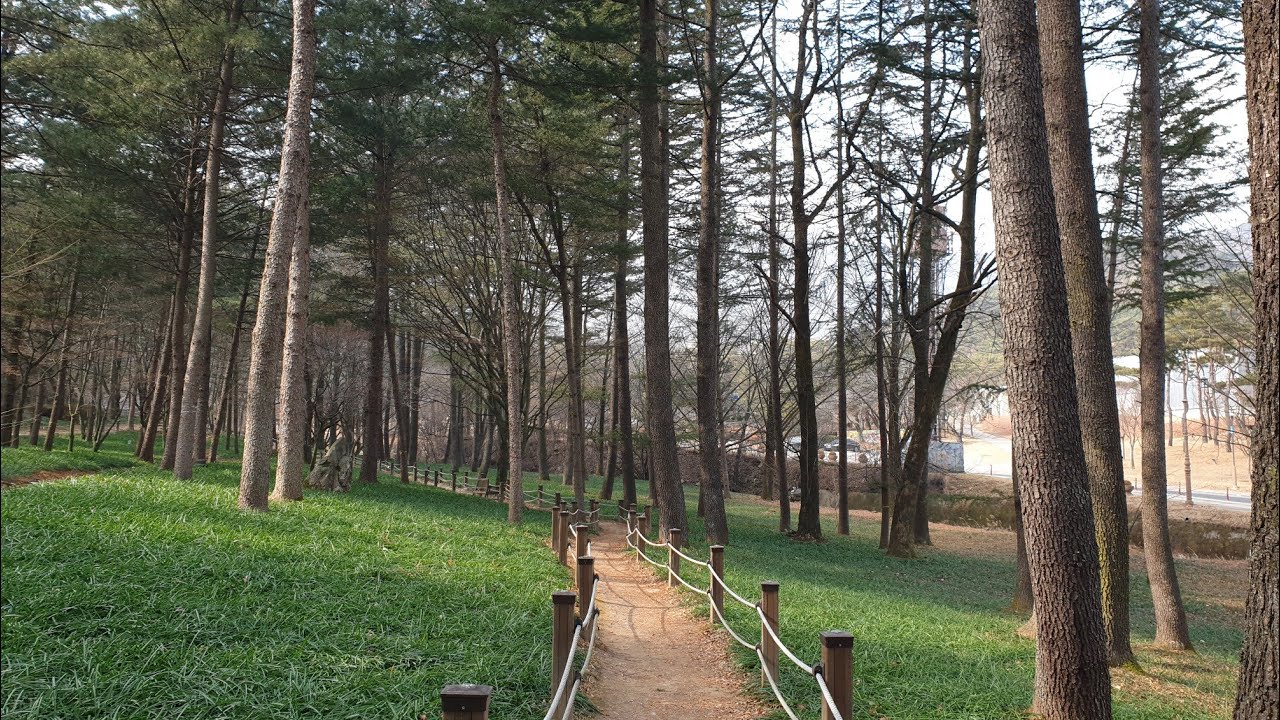 김천 직지사 直指寺 2026. 02. 05.
