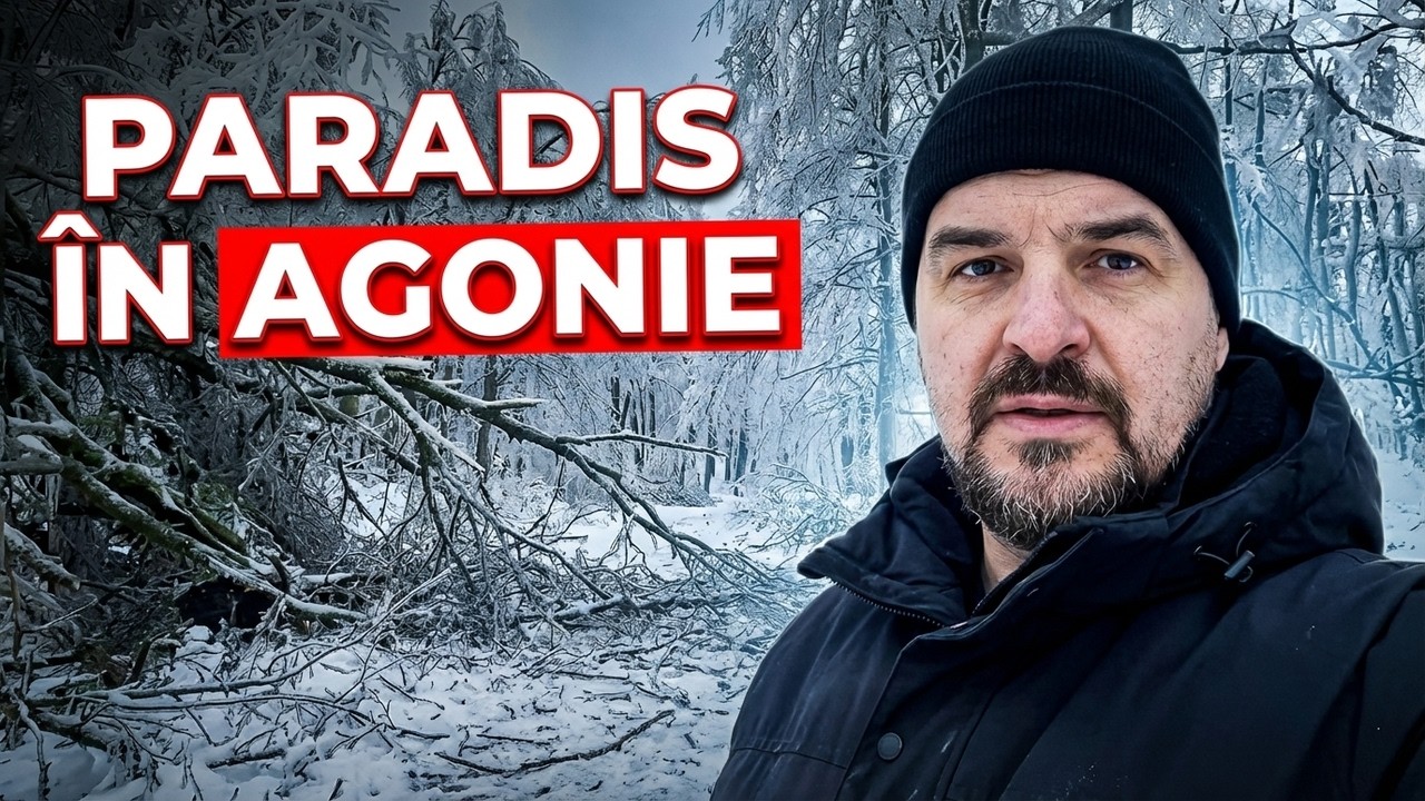 Agonie și Extaz într-un Paradis Hibernal!
