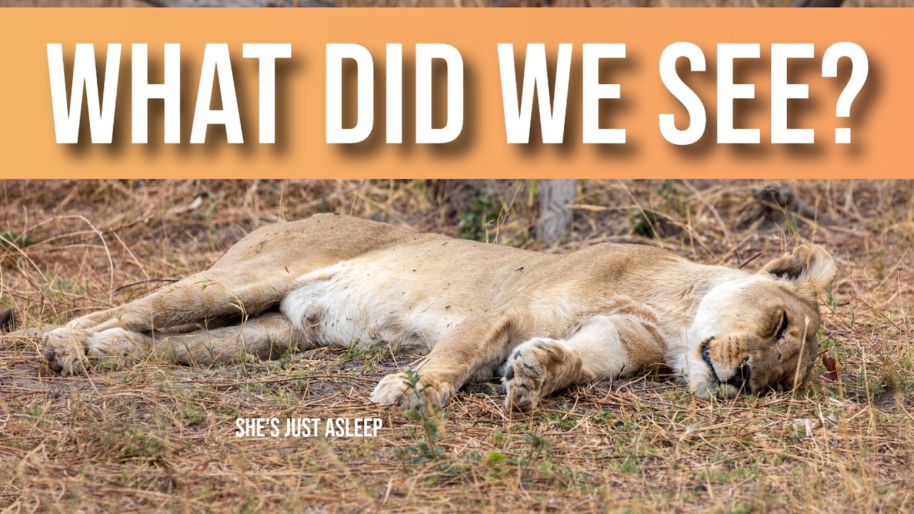 Wandering through the golden heart of the Delta