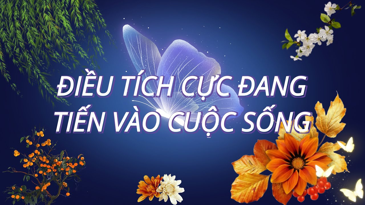 ĐIỀU TÍCH CỰC ĐANG TIẾN VÀO CUỘC SỐNG CỦA BẠN ☀️Người đưa thư #226