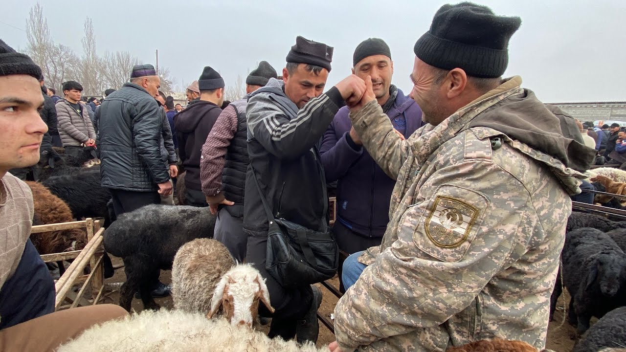 Bozorda narxlar qanday ozgardi Real savdolar bilan tanishing