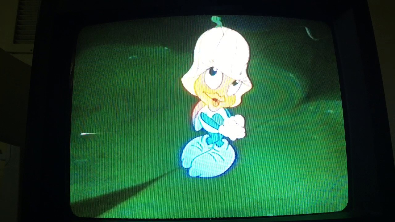 Opening to The Secret Garden 1994 VHS